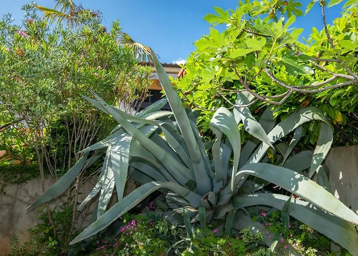 Apartment Brand New Viktorija Just 250m From The Beach!